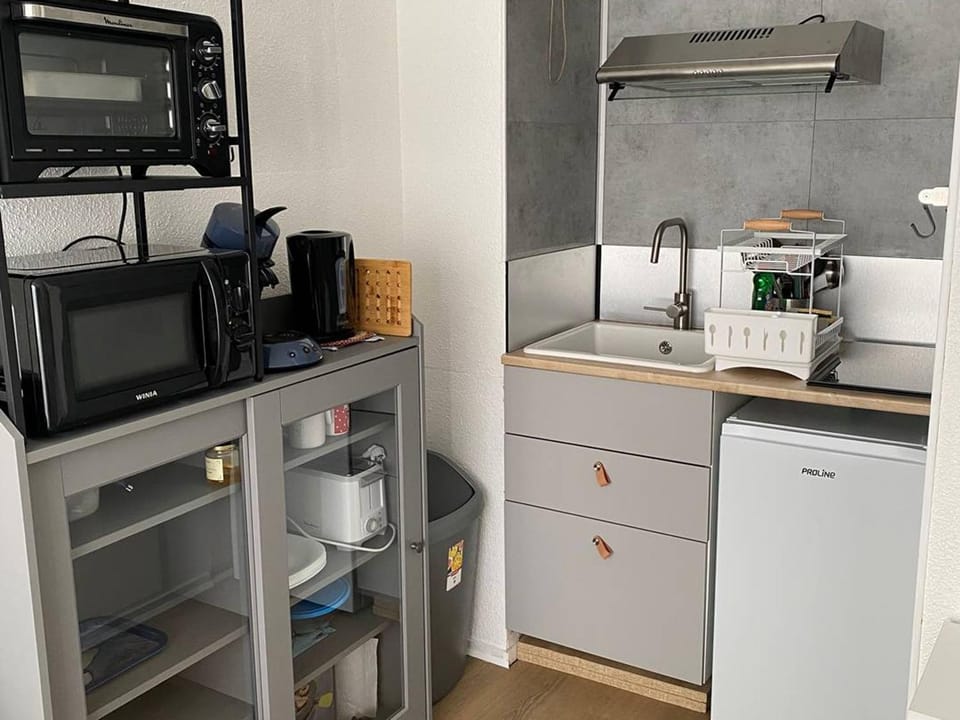 Studio avec balcon, parking gratuit, proche pistes - FR-1-602-122 Apartment in Navarre