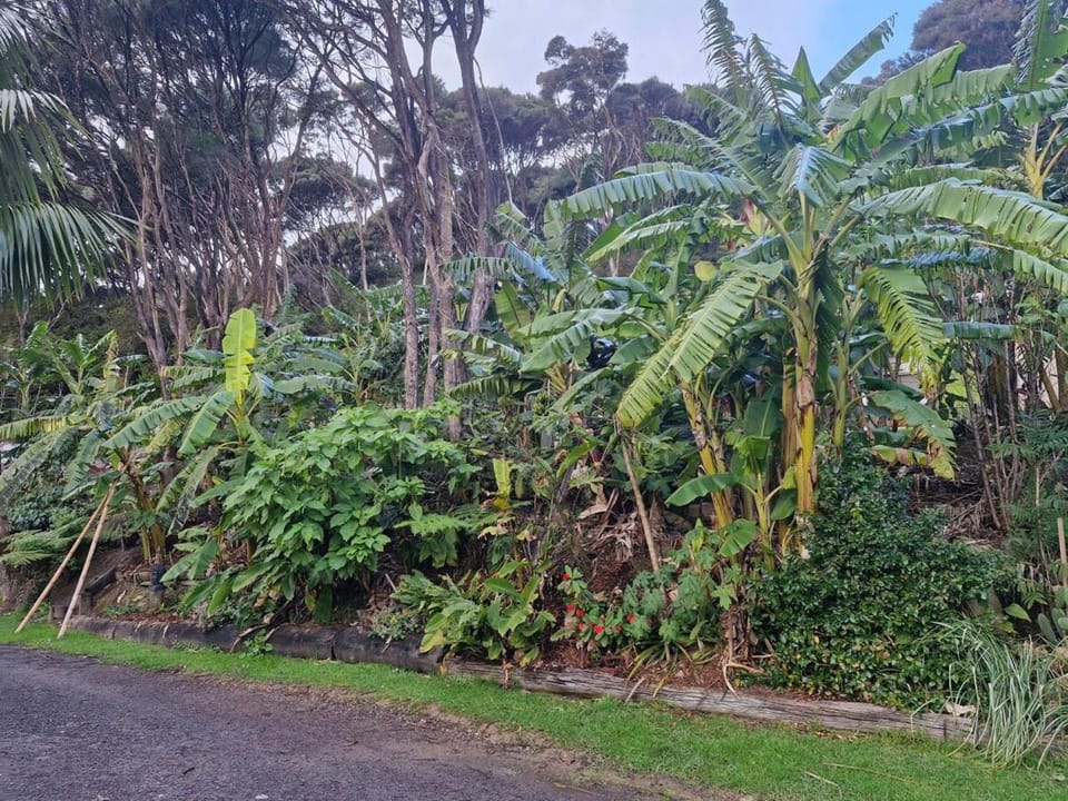 Tropical Zone Russell Apartment in Northland
