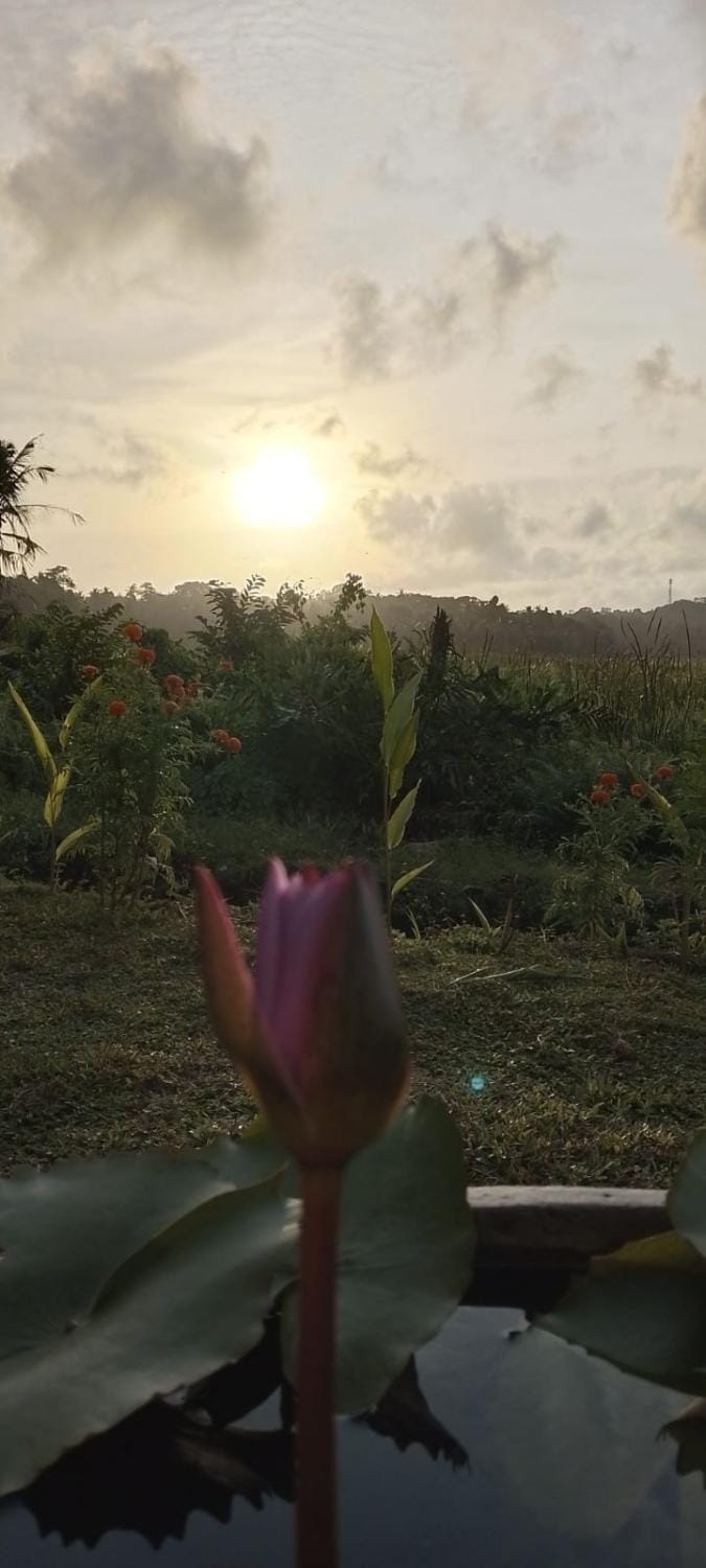 Sunila Villa Villa in Southern Province