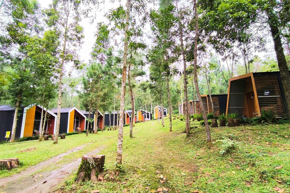 Property building, Natural landscape, Garden view