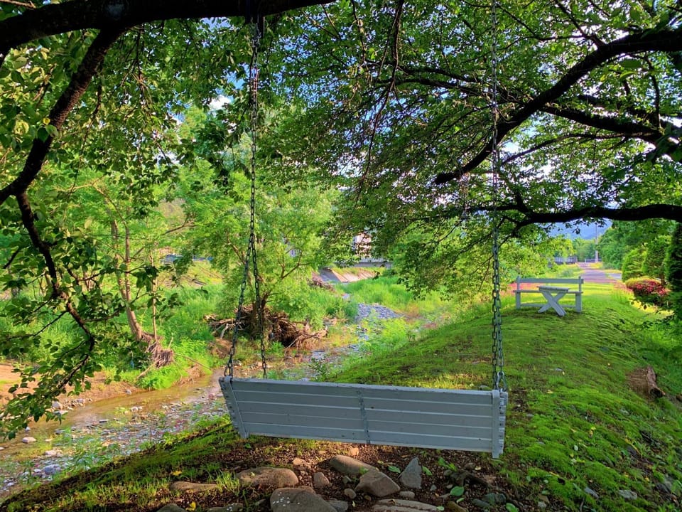 Activities, River view