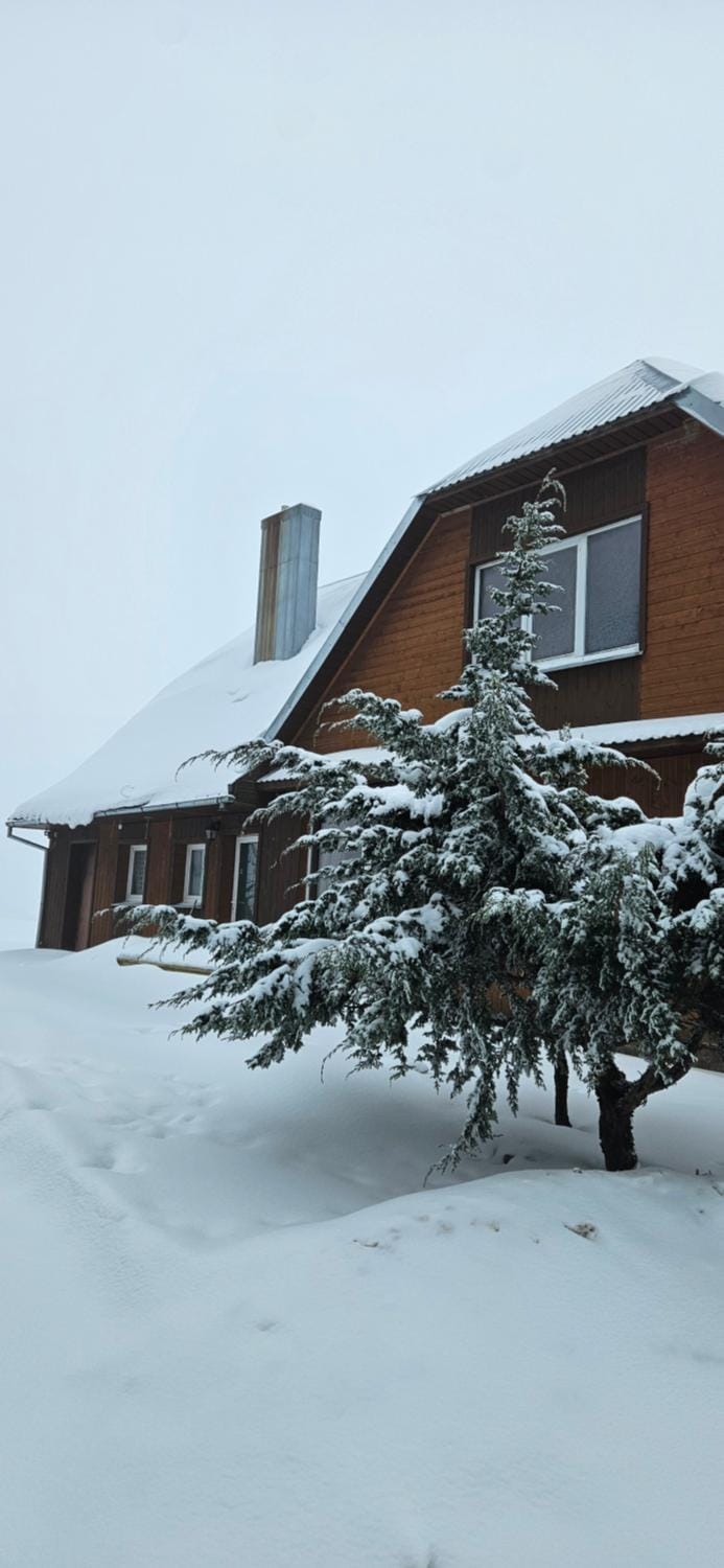 Property building, Winter