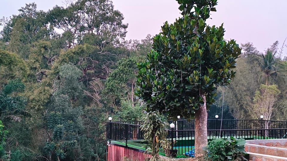 Greens Vista Homestay Vacation rental in Kerala