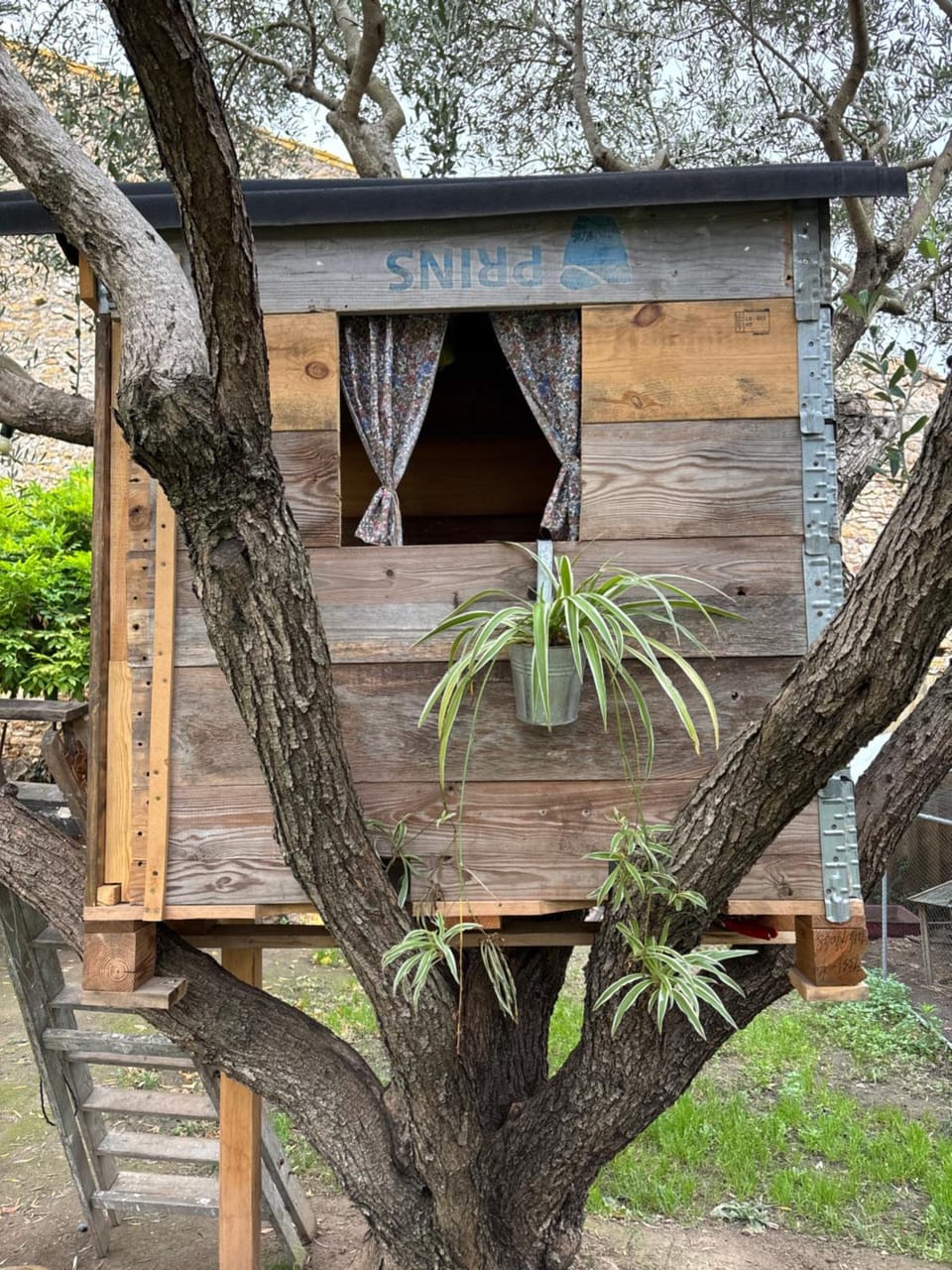 La Pause Bonheur La Campagnarde Bed and Breakfast in Occitanie