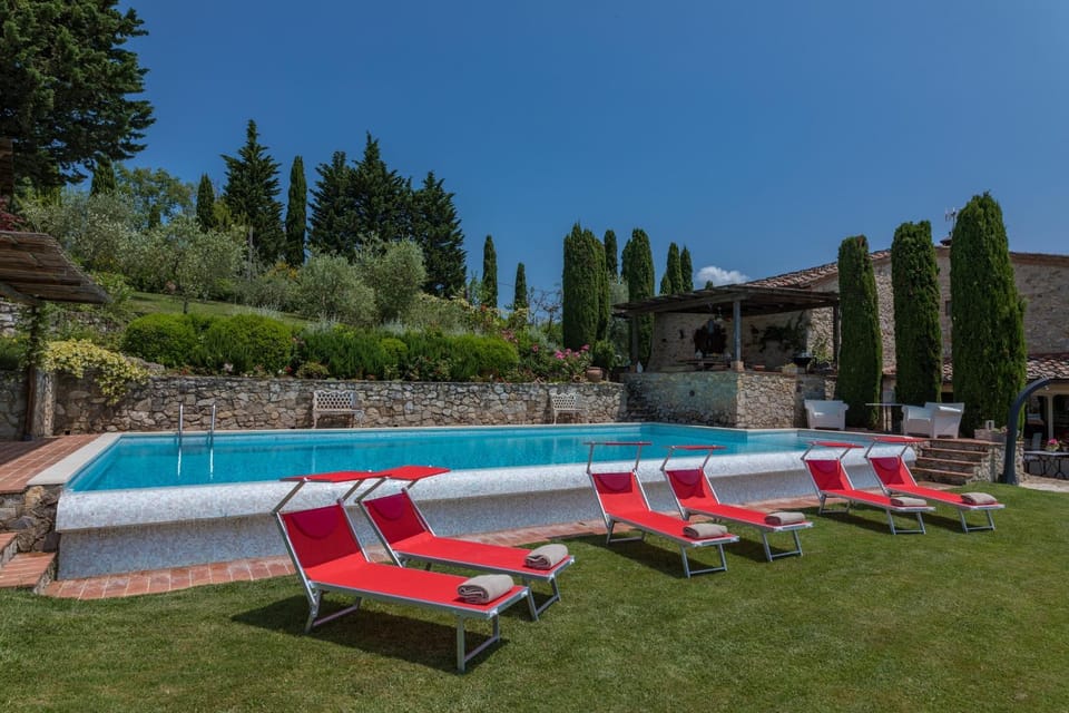 Garden, Solarium, Garden view, Pool view, Swimming pool, sunbed