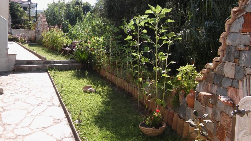 Patio, Garden