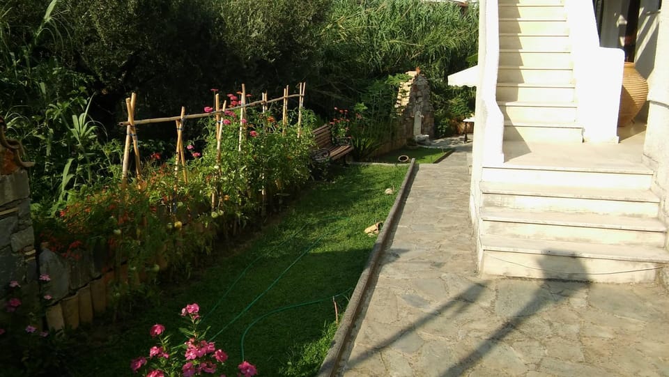 Patio, Facade/entrance, Garden