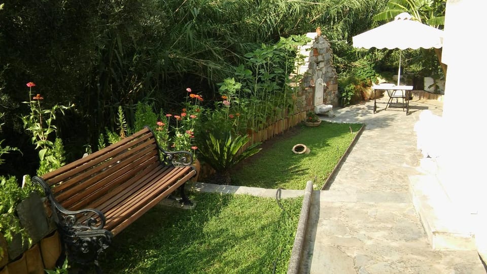 Garden, Floor plan, Garden view