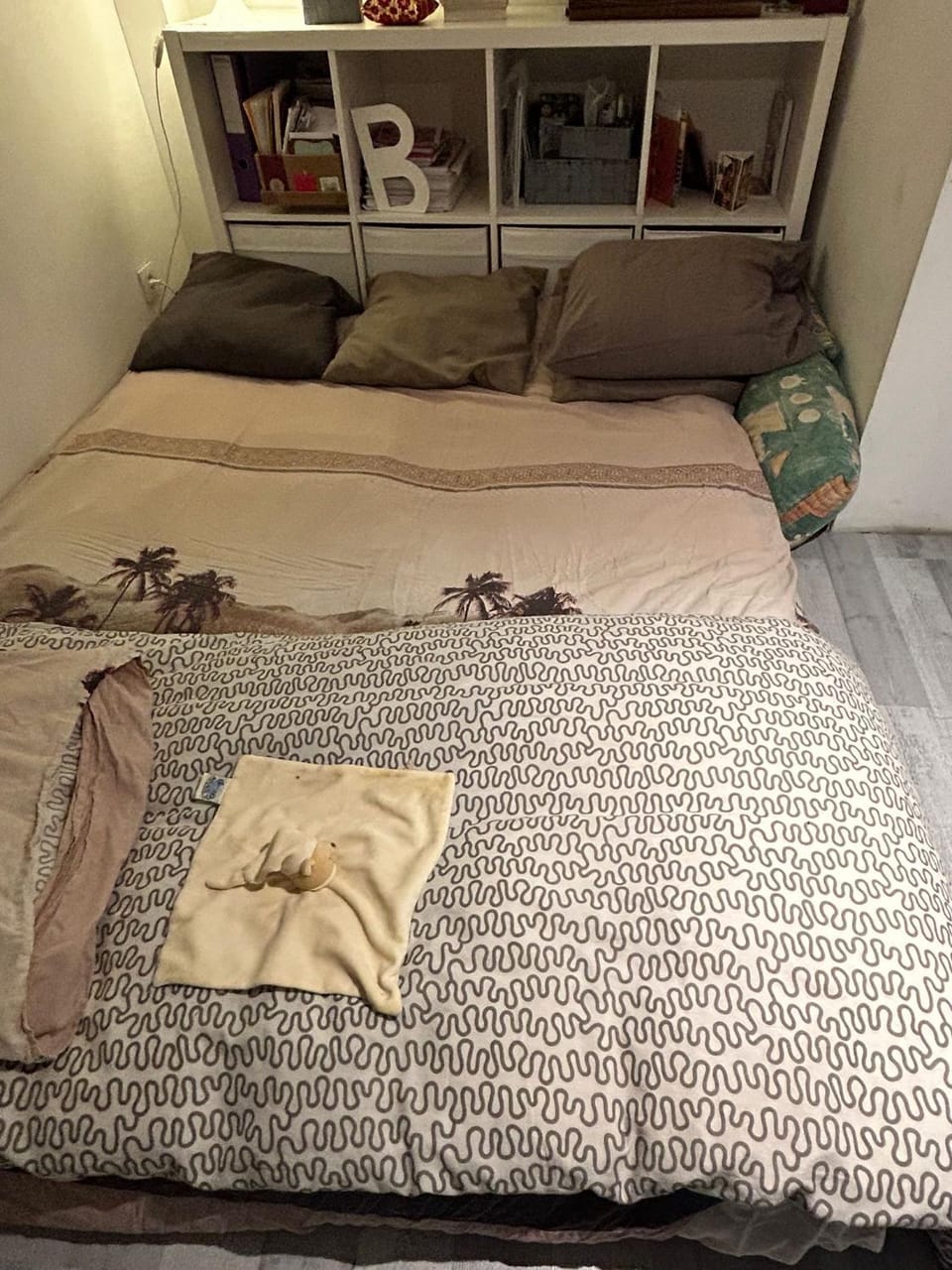 Belle chambre de 1,30 cm de hauteur à Bruxelles midi Vacation rental in Brussels