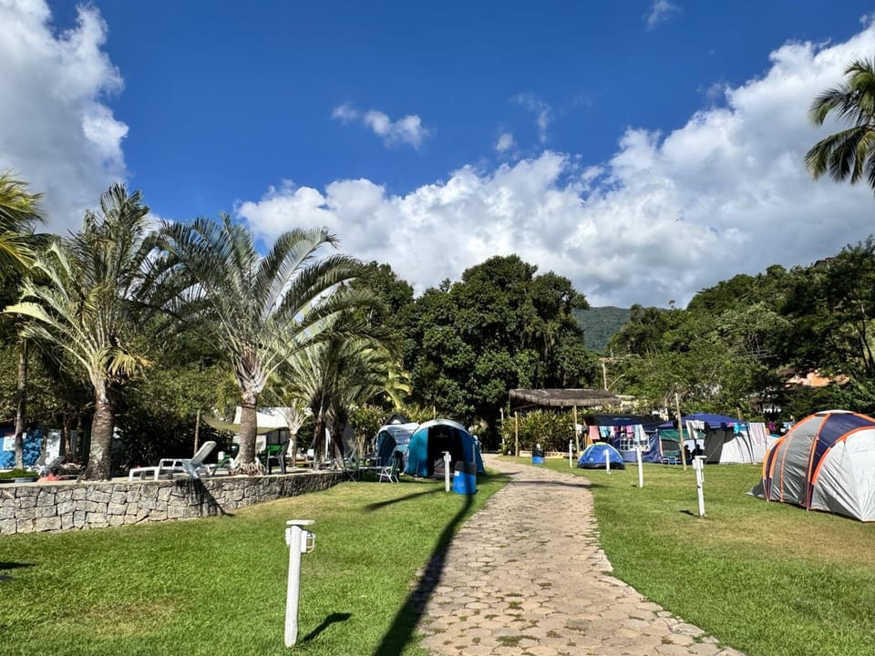 Natural landscape, Garden, Garden view