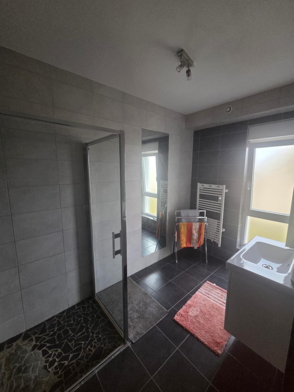 Belle chambre lumineuse avec bureau dans une maison spatieuse Vacation rental in Grand Est