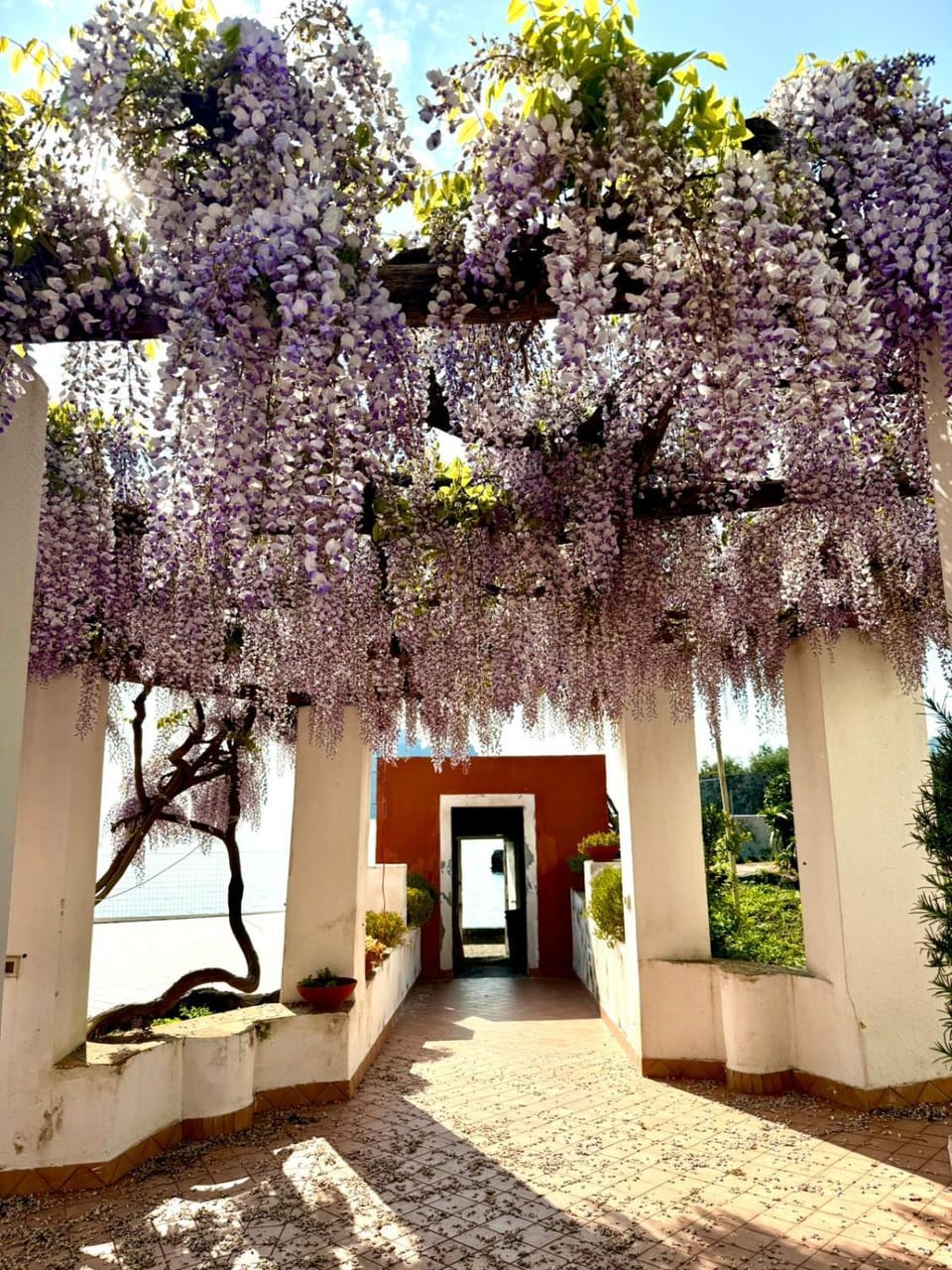 La Viscontina House in Ischia