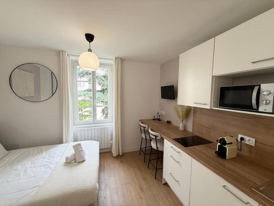 Progrès 2 - Villeurbanne - Studio apartment Apartment in Villeurbanne