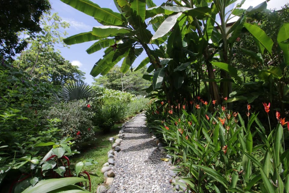 Casa Rio Tortuga - Colibri Bed and Breakfast in Bahía Ballena