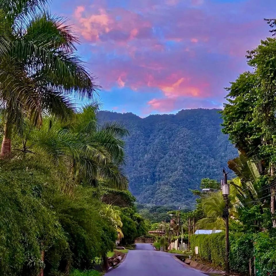 Casa Rio Tortuga - Colibri Bed and Breakfast in Bahía Ballena