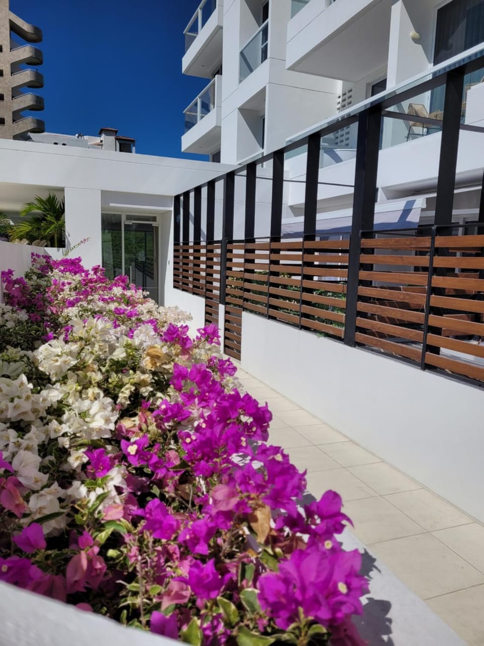 Porto Horizonte suite 424 Hotel in Magdalena, Colombia