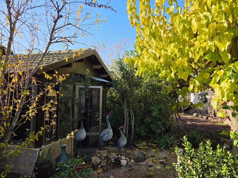 Among the cherry trees B&B 6 - Nahal Dan Apartment in North District