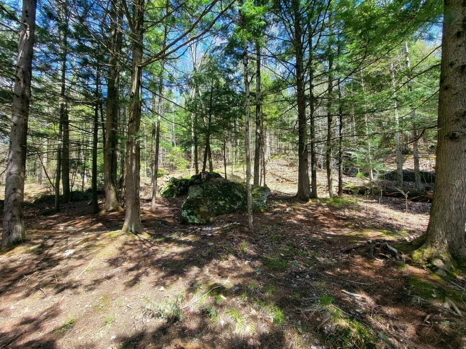 Morel Mountain Hideaway House in Warren