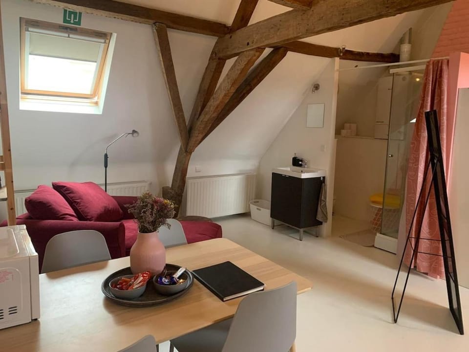 Cozy loft in private house at the center of Ghent Apartment in Ghent