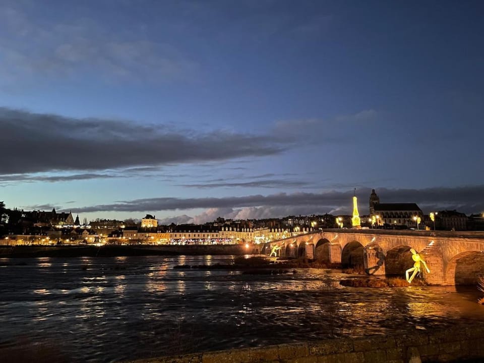 Vue rare sur la Loire et Blois - Unique ! Apartment in Blois