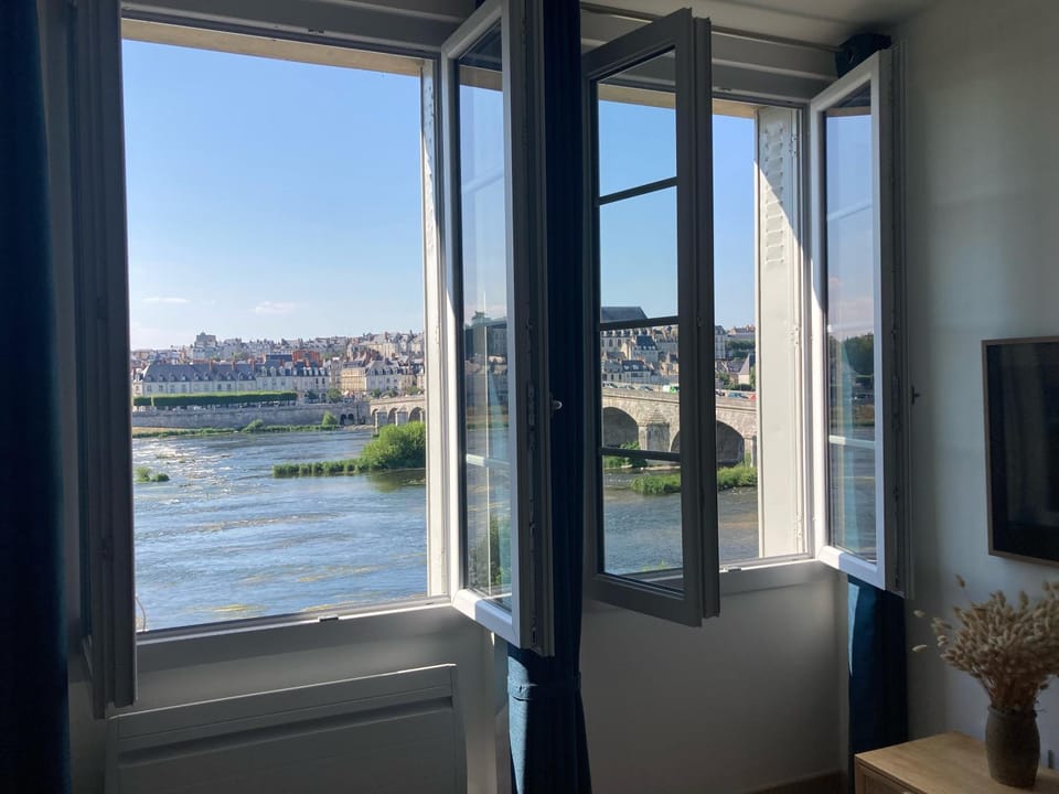 Vue rare sur la Loire et Blois - Unique ! Apartment in Blois