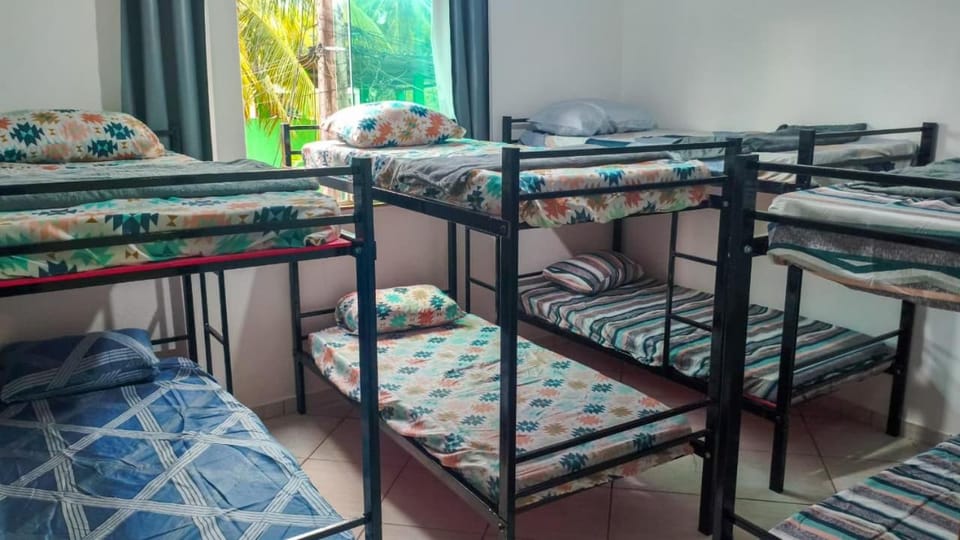 Bed, Photo of the whole room, Bedroom, bunk bed
