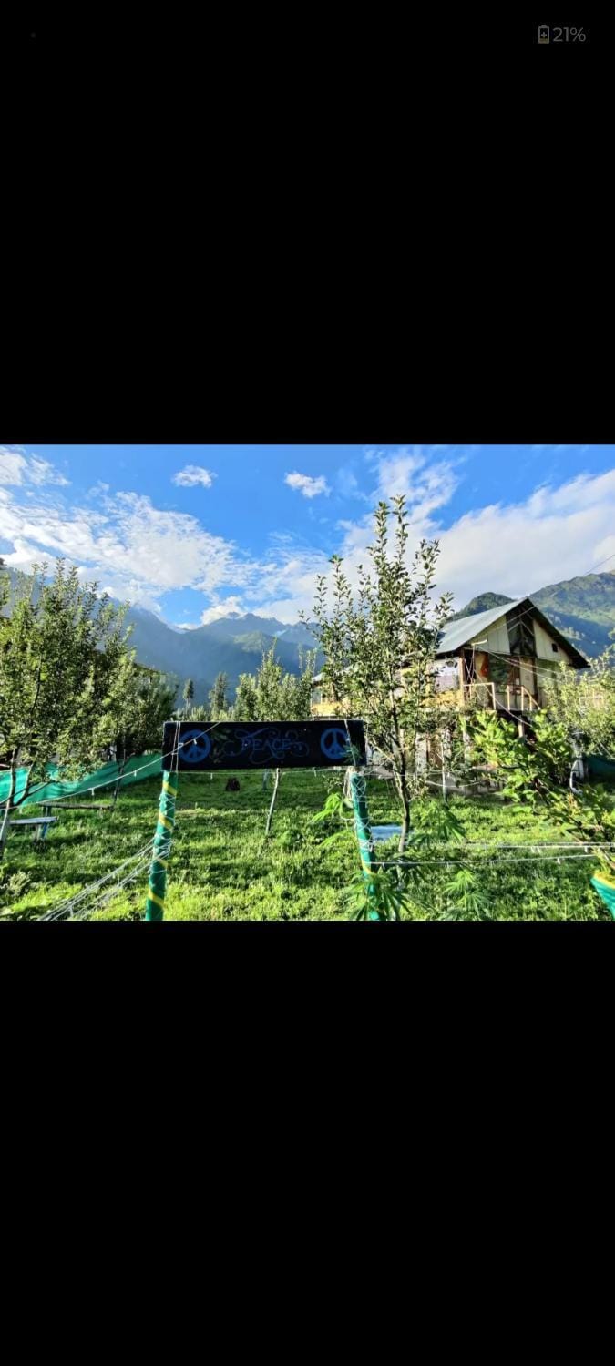 Peace homestay n cafe Vacation rental in Himachal Pradesh