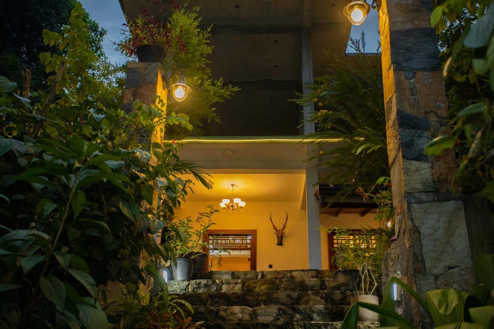 Property building, Patio, Night, Garden, Garden view