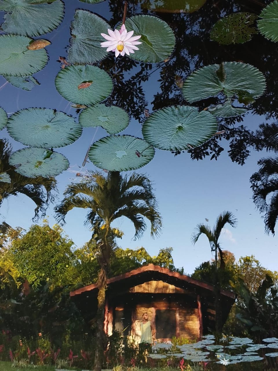 Rincon Verde Nature lodge in Alajuela Province