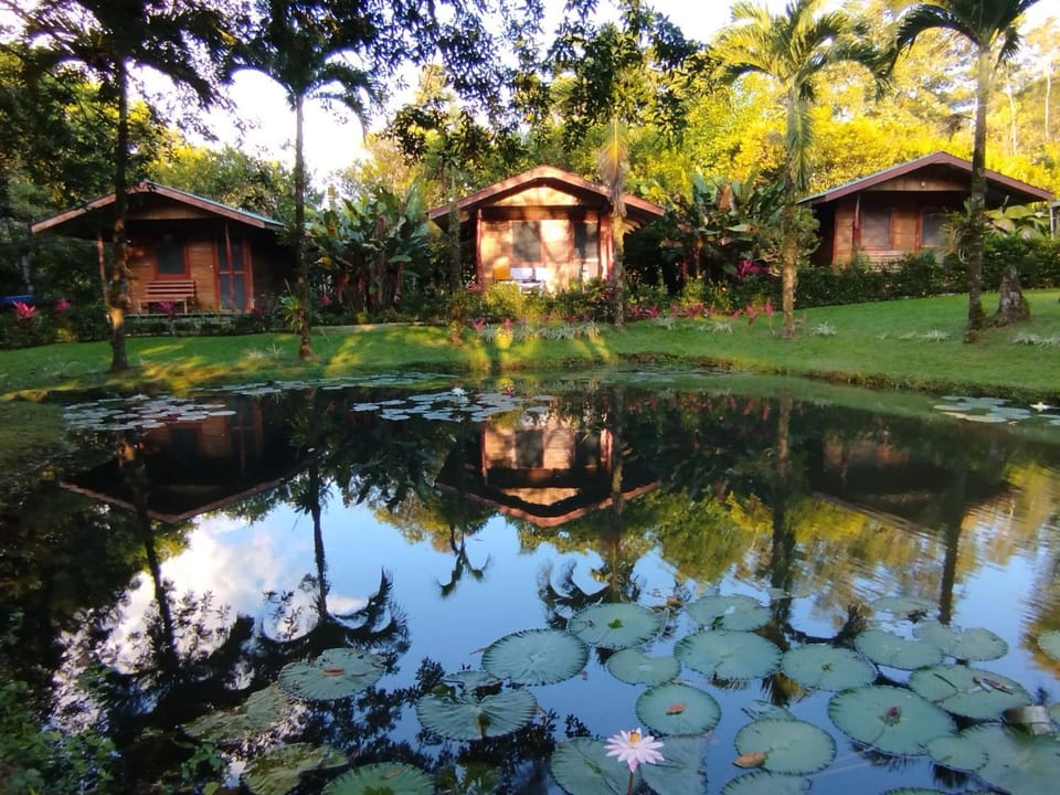 Rincon Verde Nature lodge in Alajuela Province