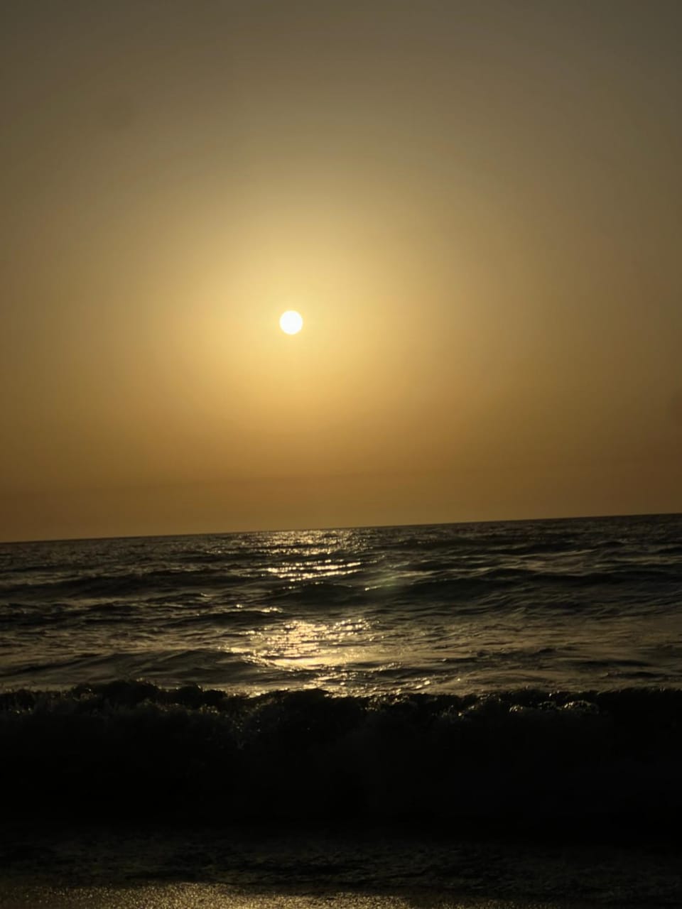 Escapade en Bord de Mer Apartment in Algeria