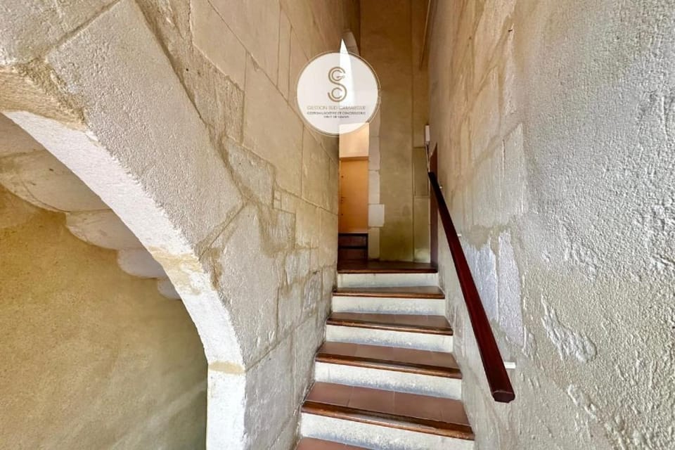 Le Grand Rhône Arles Centre Apartment in Arles