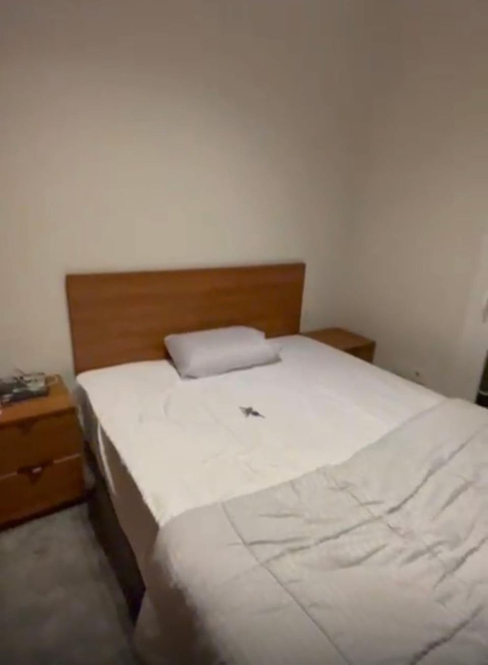 المهندسين Apartment in Cairo