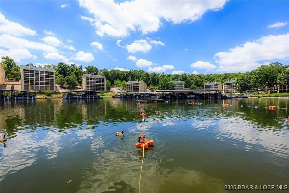 Lake view