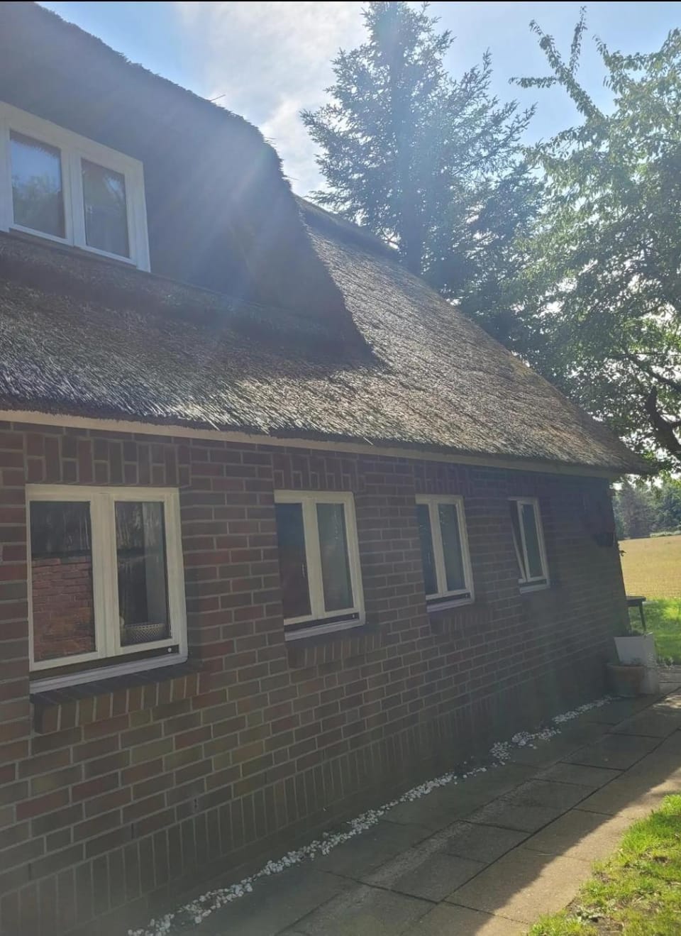 Oakwoods Apartment in Lower Saxony, Germany