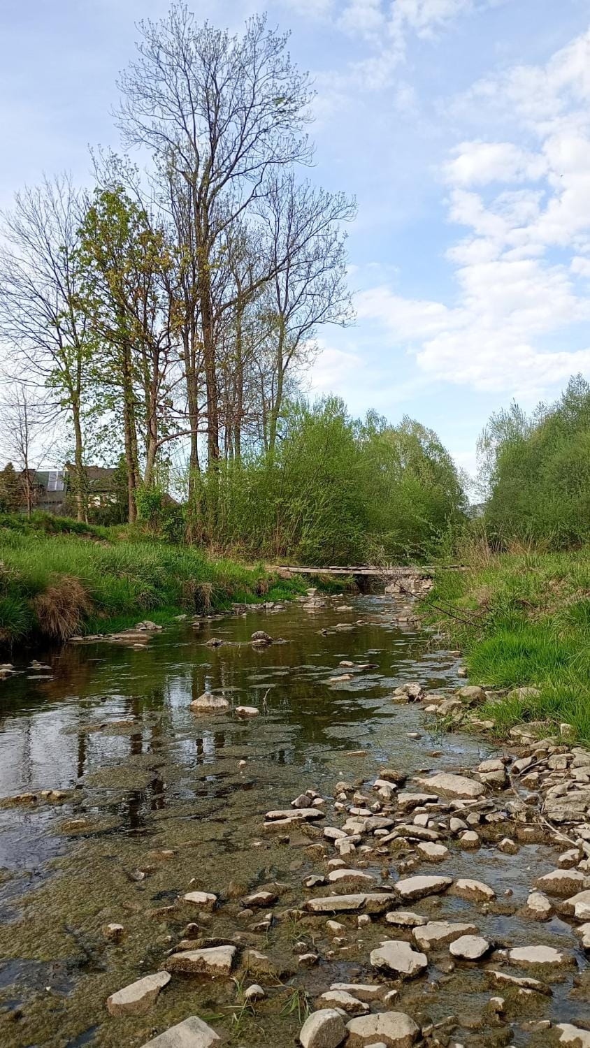 Spring, Natural landscape, River view