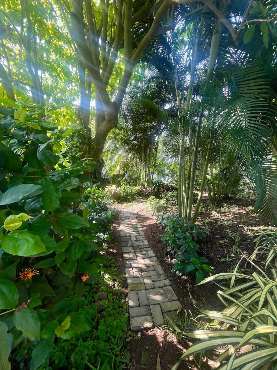 Lush Garden Chalet Vacation rental in Greater Accra Region, Ghana