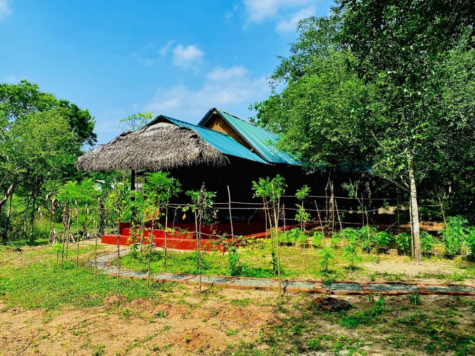 Wilpattu Landa Lodge Bed and Breakfast in Sri Lanka