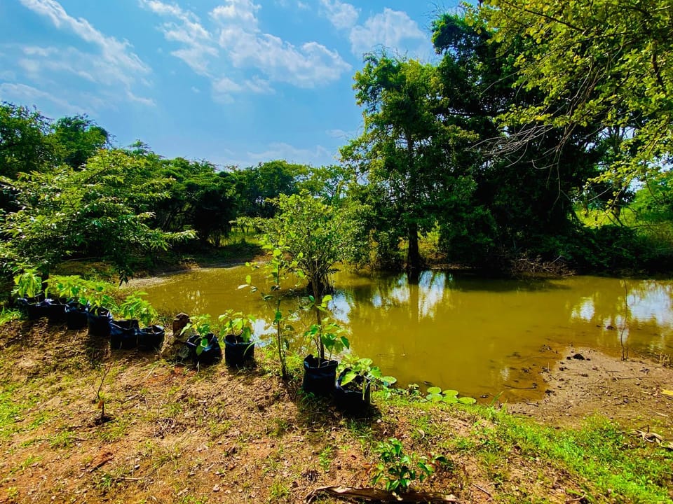 Wilpattu Landa Lodge Bed and Breakfast in Sri Lanka
