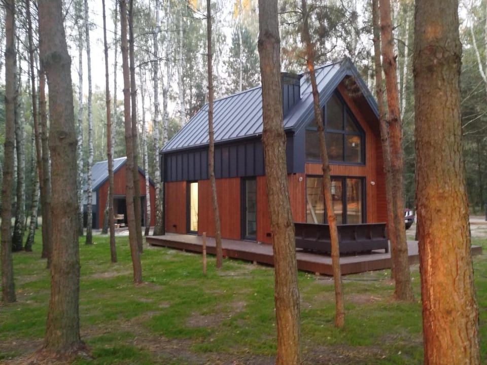Cieniówka, dom w lesie, Kije House in Greater Poland Voivodeship