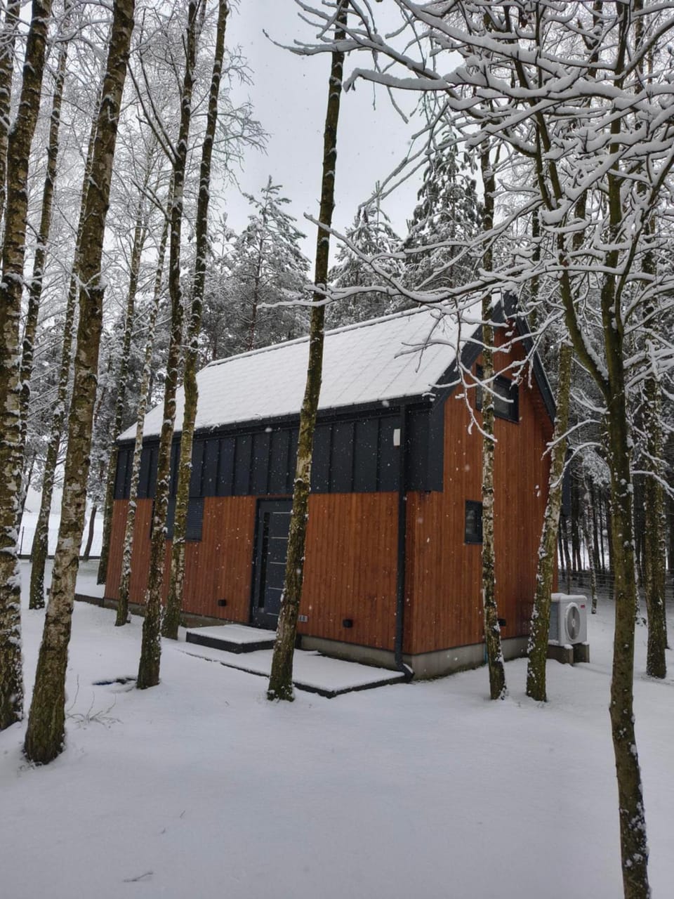 Cieniówka, dom w lesie, Kije House in Greater Poland Voivodeship