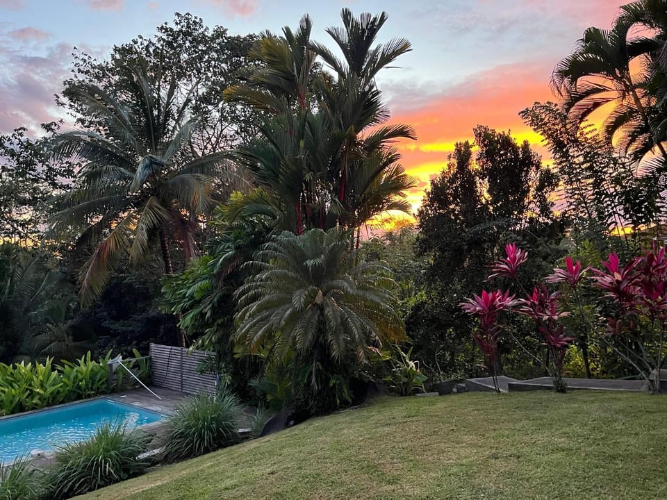 Garden, Pool view, Sunset