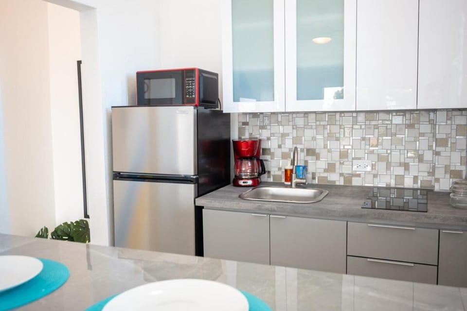Penthouse Apartment by the Beach Apartment in San Juan