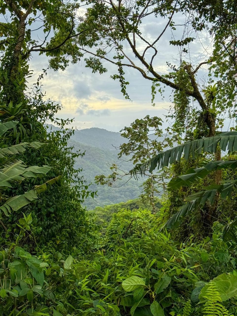 Mountain view