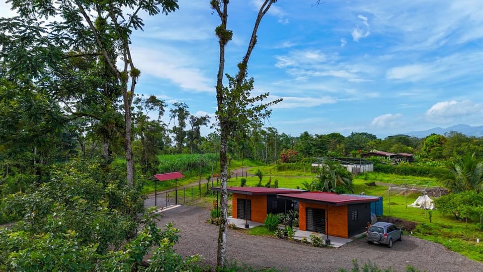 Property building, Garden