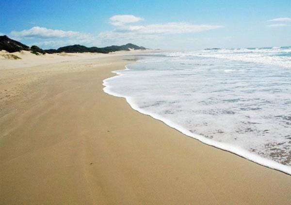 Little Palm Paradise - Chic 1BR Retreat -Relax, Unwind & Feel at Home Apartment in KwaZulu-Natal