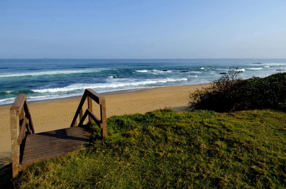 Little Palm Paradise - Chic 1BR Retreat -Relax, Unwind & Feel at Home Apartment in KwaZulu-Natal