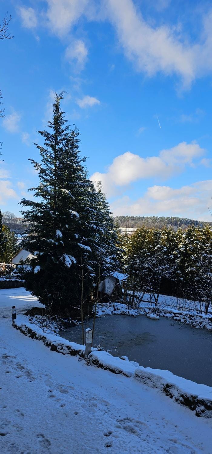 Day, Winter