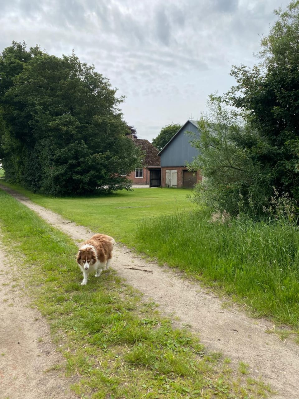 Bondegårdsferie med fiskemuligheder House in Region of Southern Denmark