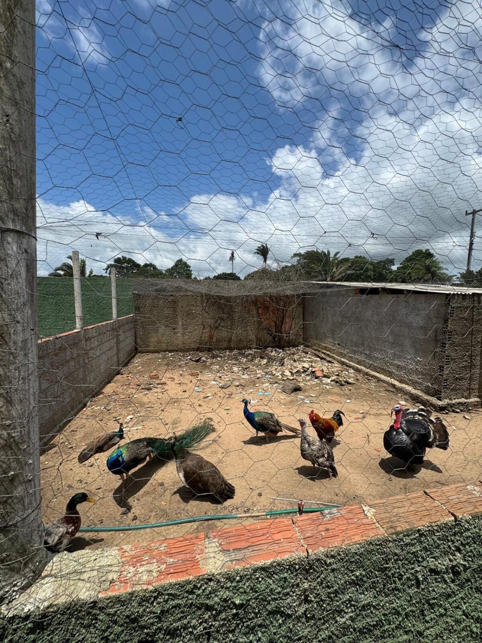 Chacara Canto da Paz House in State of Ceará